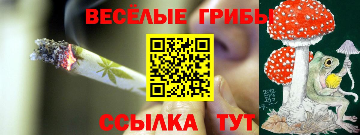 Псилоцибиновые грибы мицелий Зеленодольск